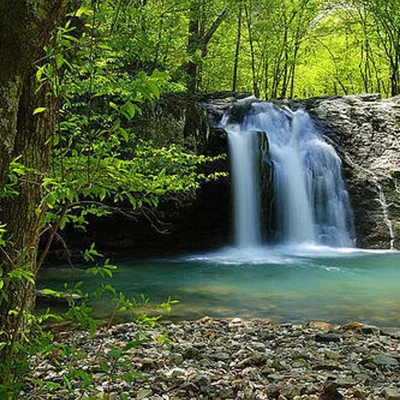 Phyllis H.   AA speaker