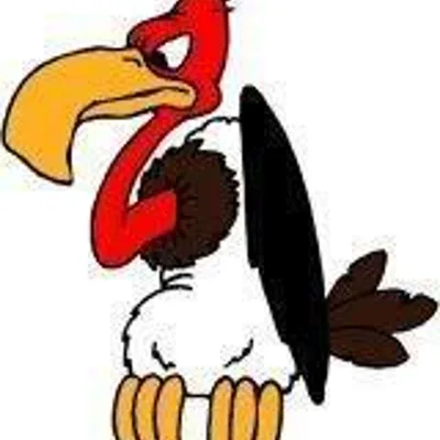 Head Trips - Bob E.   AA speaker