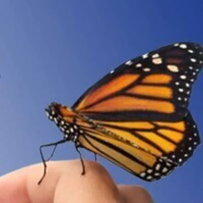 AFG Step Workshop with Kathy H.   part3