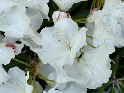 Coping With Someone Else's Substance Use - Recovered 1388