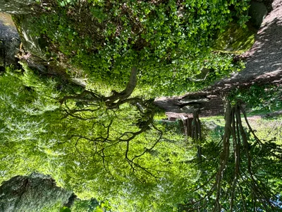 Imposter Syndrome - Recovered 1389