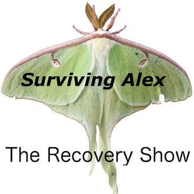 Surviving Alex: A Mother’s Story of Love, Loss, and Addiction – 414