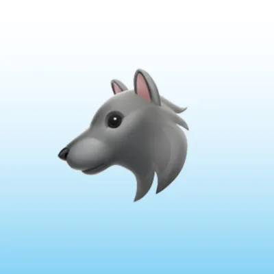 First Discord Meeting