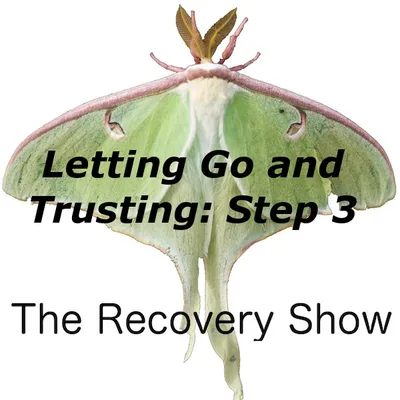 Letting Go and Trusting: Exploring Step Three  – 416
