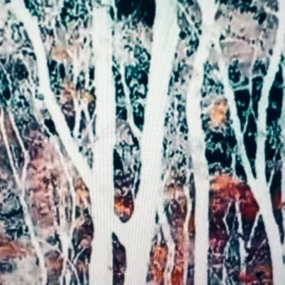 The Road to Hell is Paved with Misinformation