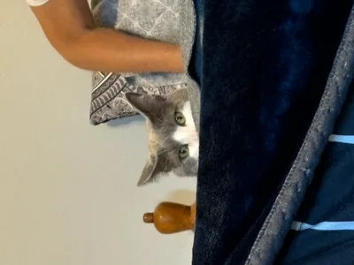 Spiritual Experience - Recovered 1395