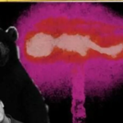 They Are Not Your Soul Mate