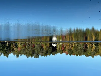 Expectations - Recovered 1397