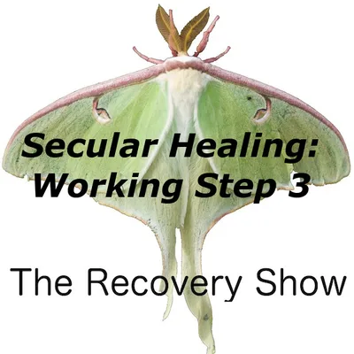 Secular Healing: Working Step Three – 419