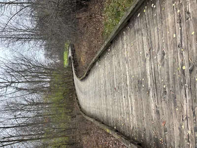 Meditation - Recovered 1405