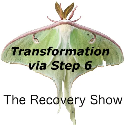 Transformation Begins in Step Six – 423