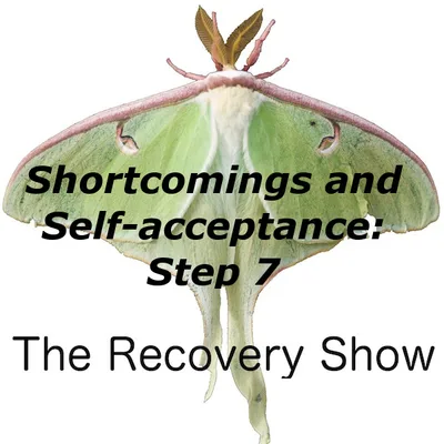 Shortcomings and Self-Acceptance: Step 7 – 425