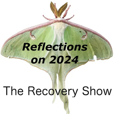 Reflections on 2024 – 426