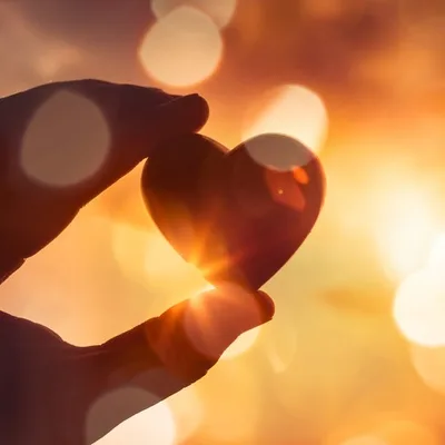 Free Will: What do we Control?