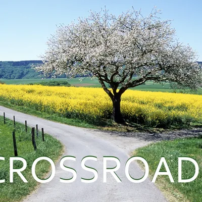 Crossroads - Lesson 19 (08 26 2024)