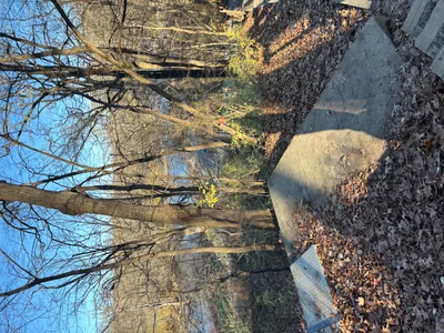 Expectations - Recovered 1422