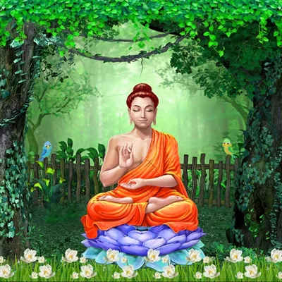 SoberNotMature - Episode 170 (Sitting Down & Shutting The F Up)