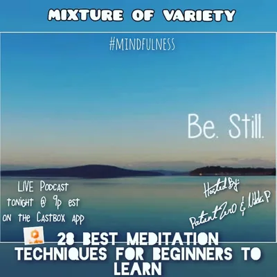 Mindful Meditation Discussion & Beginner Exercises! part 1