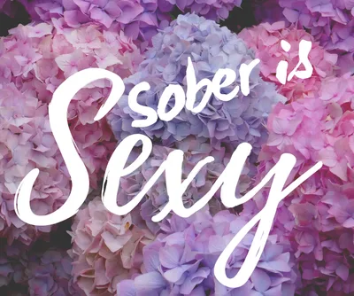 Top 24 Sober Communities Beyond Traditional AA NA