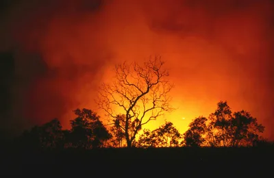 Natural disasters: how floods and fires shape the psyche