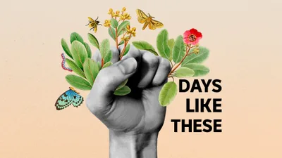 Days Like These returns