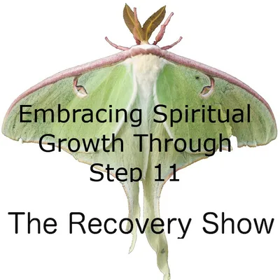 Embracing Spiritual Growth Through Step 11 – 438