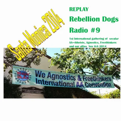 Replay from Santa Monica 2014 first secular AA gathering