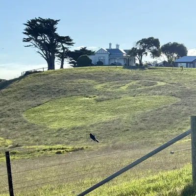 🚜 ✌🏻❤️ (Sun, 27/04/2025)