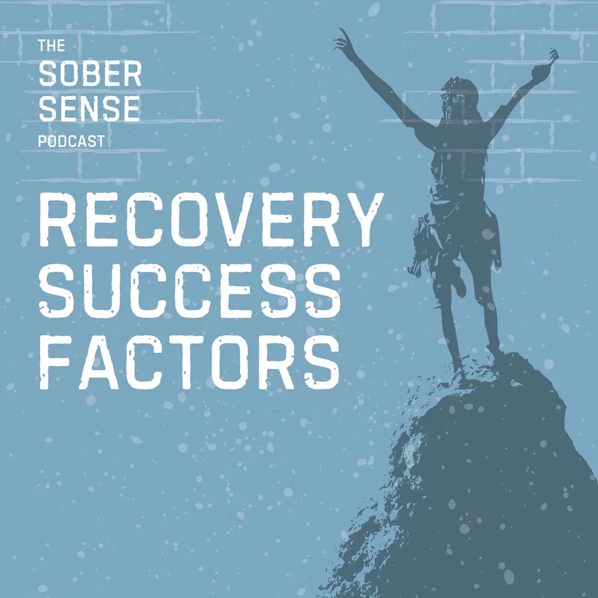 Recovery Success Factors