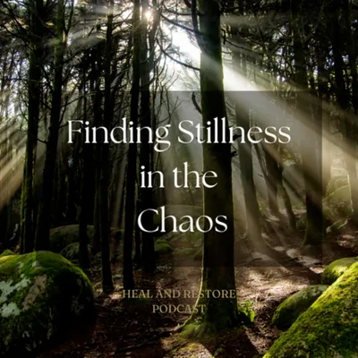 Finding Stillness in the Chaos