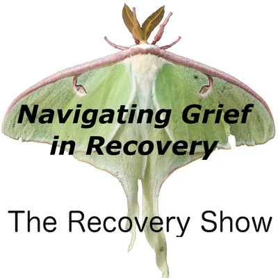 Navigating Grief in Recovery – 446