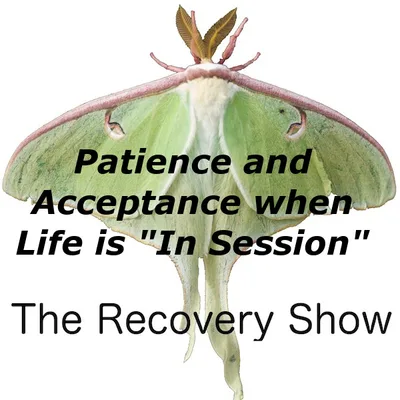 Patience and Acceptance when Life is “In Session” – 447