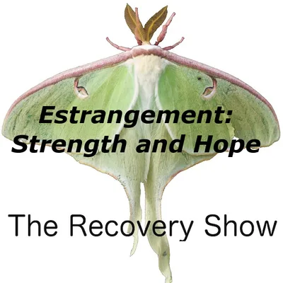 Estrangement: Strength and Hope – 450