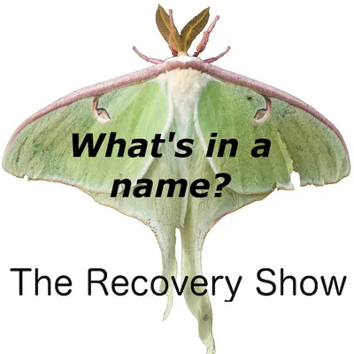 What’s in a Name? Group naming in Al-Anon – 451