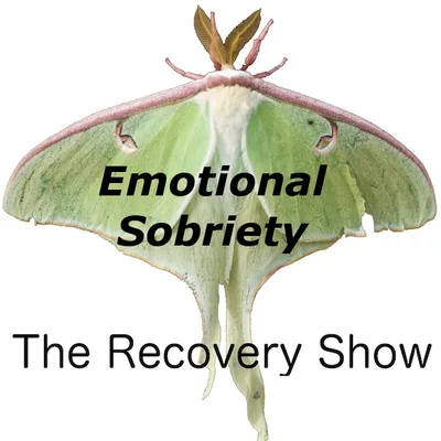 Emotional Sobriety – 453