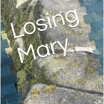 Losing Mary