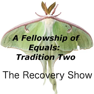 A Fellowship of Equals: Tradition Two – 455