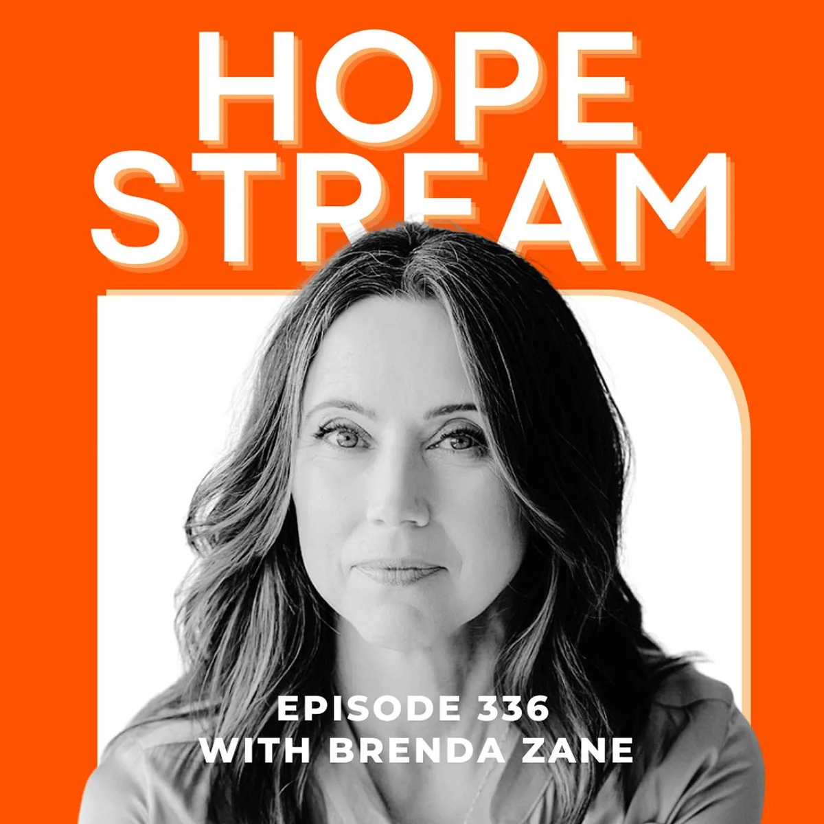 The Guilt That Helps You and The Guilt That Just Hurts, with Brenda Zane