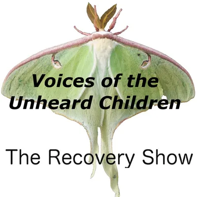 Voices of the Unheard: Healing Young Lives Affected by Addiction – 462