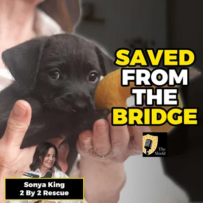 Removing the Roadblock: Sonya King on Saving Pets to Save Lives (Two by Two Rescue)