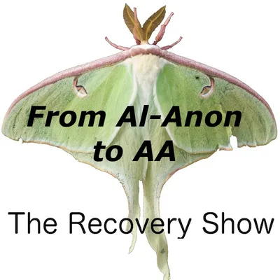 Carolyn: Recovery from Al-Anon to AA – 465