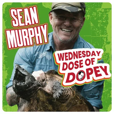 Meth, Porn Sets, Weezer, Blacking Out at Slayer & Finding Recovery | Sean Murphy with Sean Murphy
