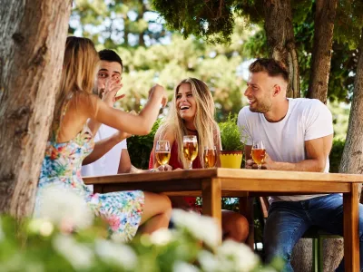 Hay Fever and Happy Hour: How Beer Gardens and Alcohol Can Aggravate Allergies