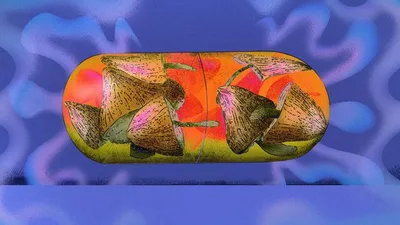 Could Magic Mushrooms Help People Quit Smoking – and Other Addictions?