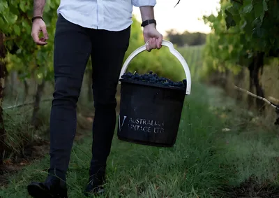 Australian Vintage secures new funding to back zero-alcohol and premium wine push