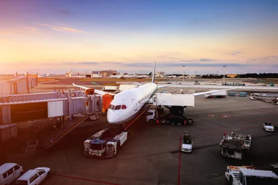 Japan Airlines bans cabin crew from drinking between return flights after alcohol test delay