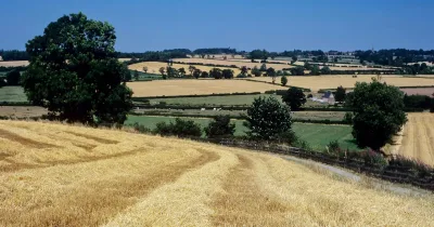 Brits Are Drinking Less: Barley Farming Falls as Low and No Alcohol Rise