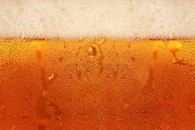 Alcohol-free beer surges as EU beer production slips