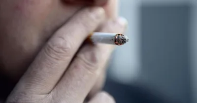 How Big Alcohol, Tobacco and Junk Food Firms Shape Scotland’s Health Rules