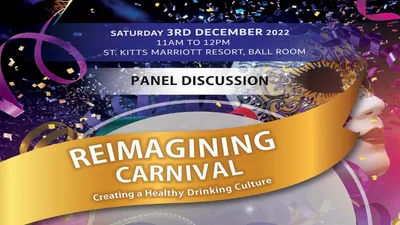 Re-imagining Carnival: Creating a Healthy Drinking Culture - Event Summary Video